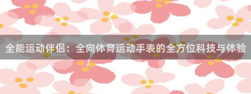 vsport体育