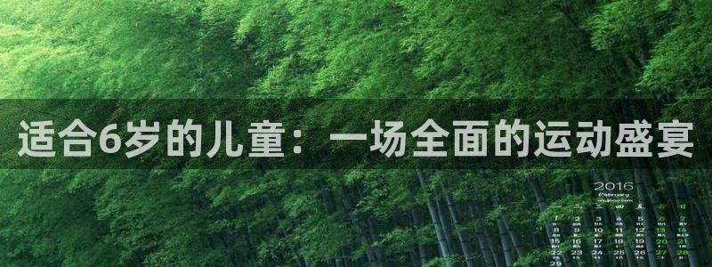 vsport体育在线官网
