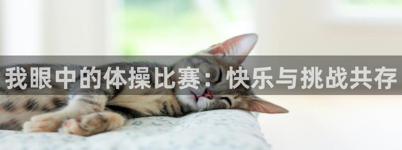 vsport体育在线官网
