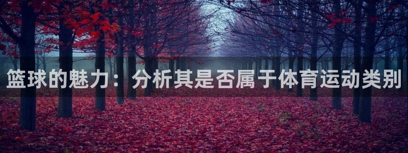 vsport体育