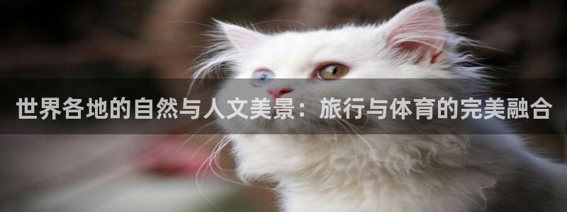vsport体育在线官网