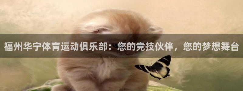 vsport体育在线官网